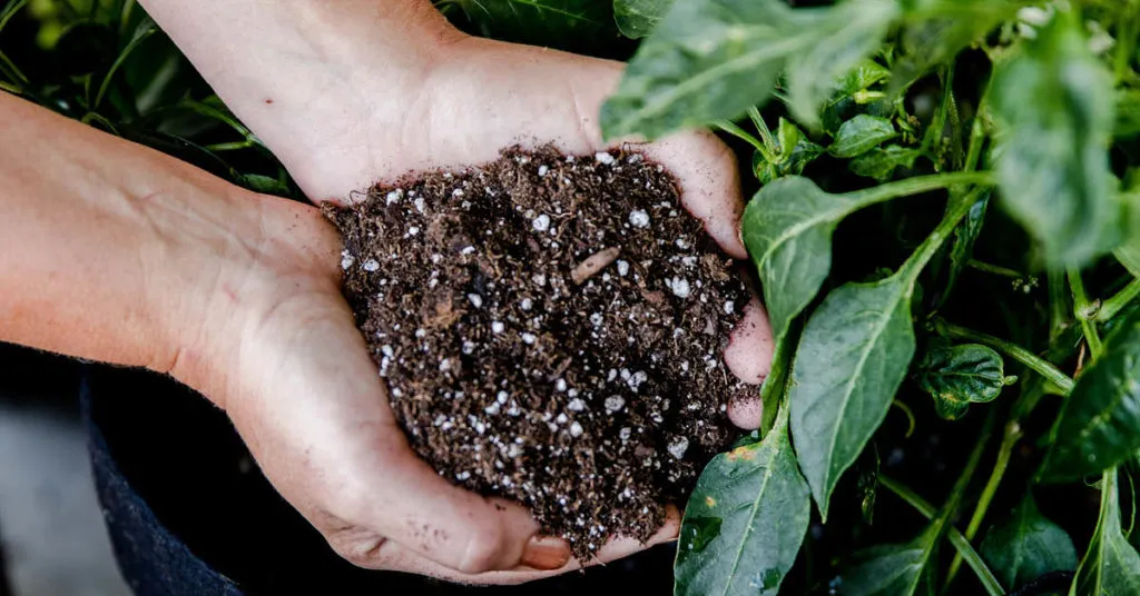 The Top 7 Wellness Trends Taking the World by Storm