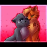 Cinderpelt loved Fireheart, but he didn't catch on