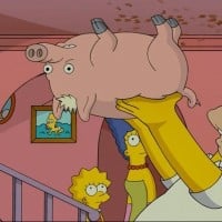 Plopper aka Spider Pig