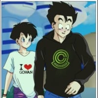 Son Gohan & Videl - Dragon Ball Z