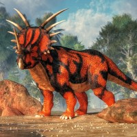 Styracosaurus