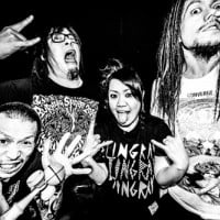Maximum The Hormone
