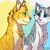 Ivypool x Fernsong
