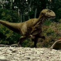 Australovenator (Banjo)