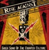 Rumors of My Demise Have Been Greatly Exaggerated - Rise Against