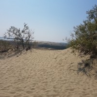 Sand Dunes
