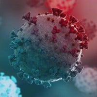 Coronavirus is a Hoax