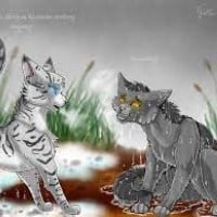 Silverstream Saves Graystripe