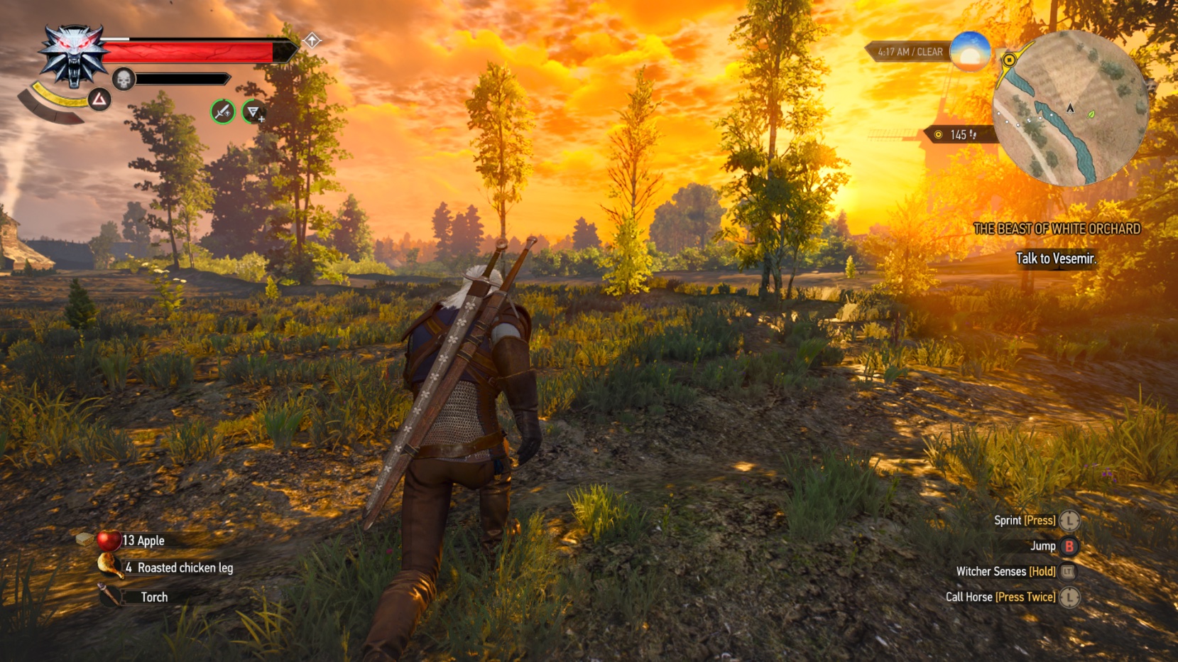 The Witcher 3: Wild Hunt