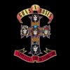 Paradise City - Guns N' Roses