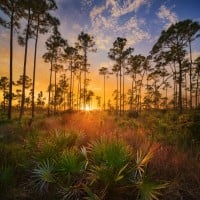 Everglades National Park