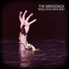 Will You Save Me? - The Birdsongs