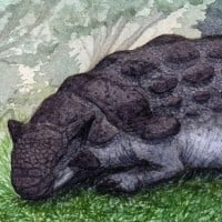 Ankylosaurus