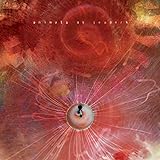 The Joy of Motion - Animals as Leaders
