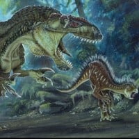 Megalosaurus Bucklandii