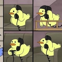 A Bunch of Full Grown Geese