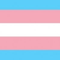 Transgenders