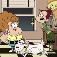 Goat Babies from Stall Monitor