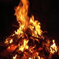 Burn It at Your Local Bonfire