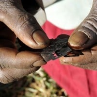 Female genital mutilation