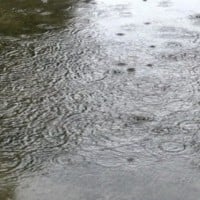 Splash Through Puddles