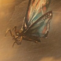 Mothra - Rebirth of Mothra