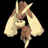 Female - Lopunny