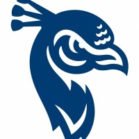 Saint Peter's Peacocks