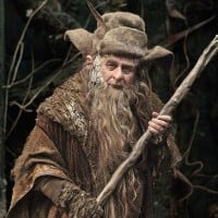 Radagast the Brown