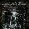 Somebody Put Something in My Drink - Children of Bodom