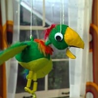 Potty the Parrot