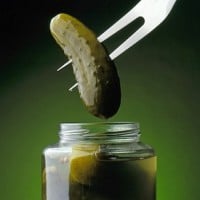 Pickle Fork