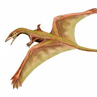 Sharovipteryx
