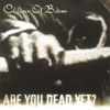 Are You Dead Yet - Children of Bodom