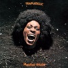 Maggot Brain (Funkadelic)
