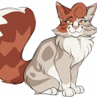 Rosetail Being Forgotten