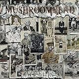 A Wonderful Life - Mushroomhead