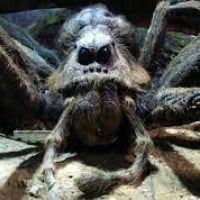 Aragog