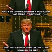 "What's the difference between a wet raccoon and Donald J