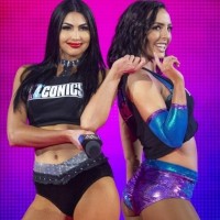 The IIconics