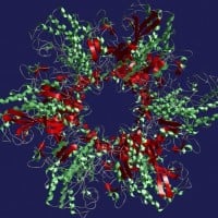 SCP-008 (SCP Mythos)