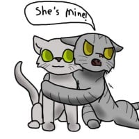 Dovewing x Bumblestripe