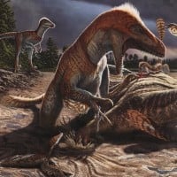 Utahraptor