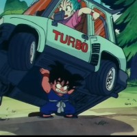 The Secret of the Dragon Balls (Dragon Ball)