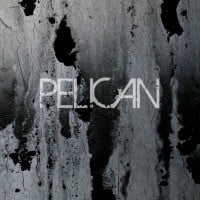 Pelican