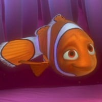 Coral - Finding Nemo