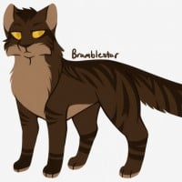 Main Character is Always Leader