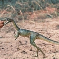 Compsognathus
