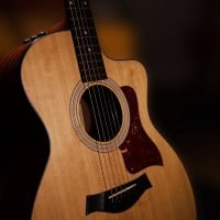 Acoustic Guitar