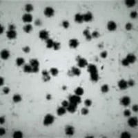 Tyrant Virus (Resident Evil)